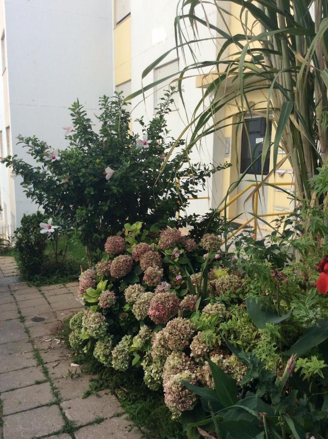 Jardim Das Flores Distrito de Distrito de Faro Exterior foto